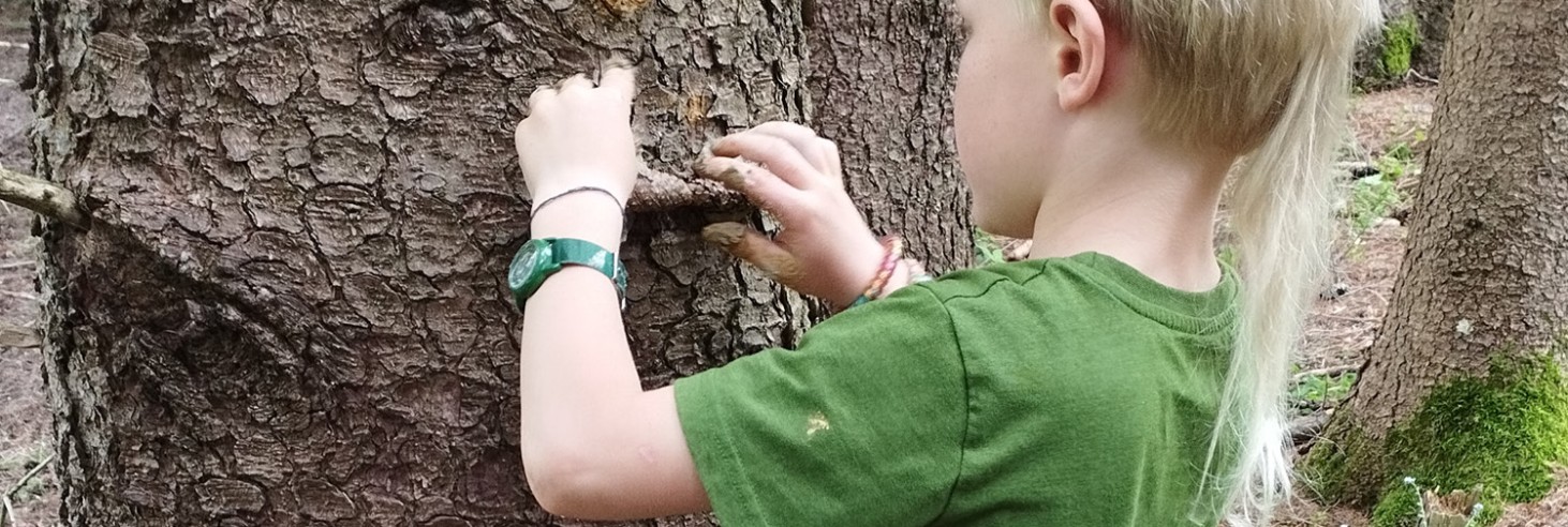 Kind mit grünem T-Shirt und Armbändern steht seitlich vor einem Baum und befästigt Ton an der Baumrinde mit beiden Händen